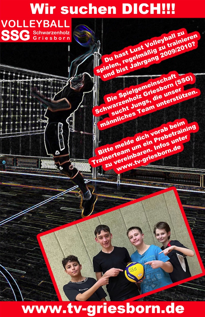 Volleyball Plakat dunkel Homepage